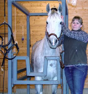 Hest i stall